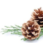 Nieuwsbrief december 2018